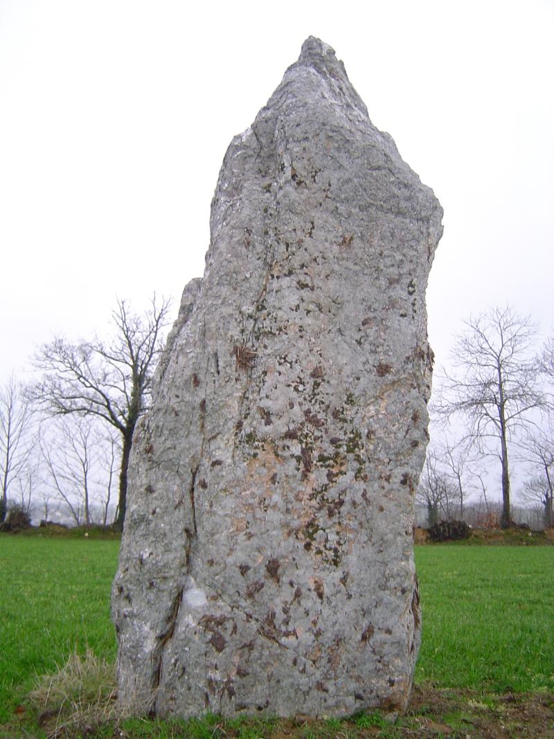 Menhir dit La Pierre Blanche, Pocé-les-Bois