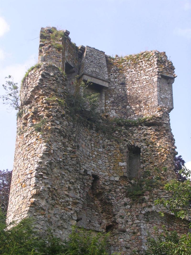 Château de Saint-Aubin-du-Cormier, Saint-Aubin-du-Cormier