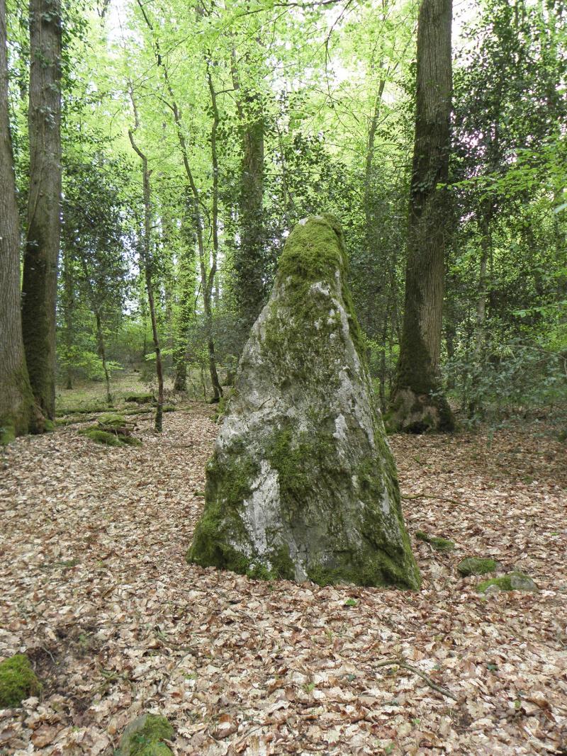 Cinq menhirs dans la forêt de Haute-Sève, Saint-Aubin-du-Cormier