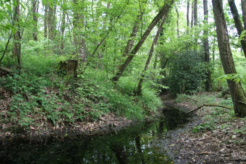 Site archéologique du bois de Montbourcher, Vignoc