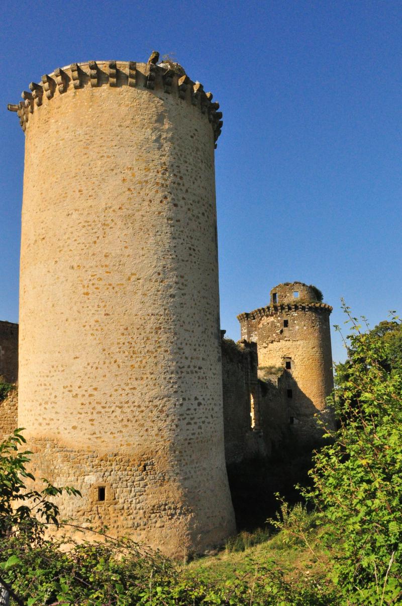 Château de La Prune-au-Pot, Ceaulmont