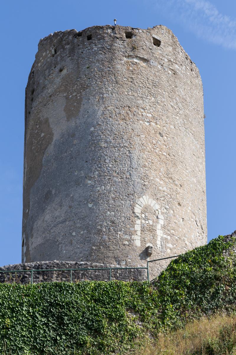Ensemble castral
