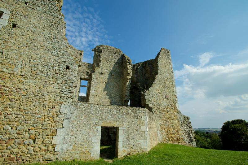Vestiges du château, Levroux
