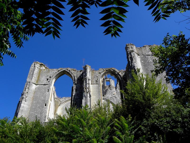 Ruines du château et de la collégiale des Roches-Tranchelion, Avon-les-Roches