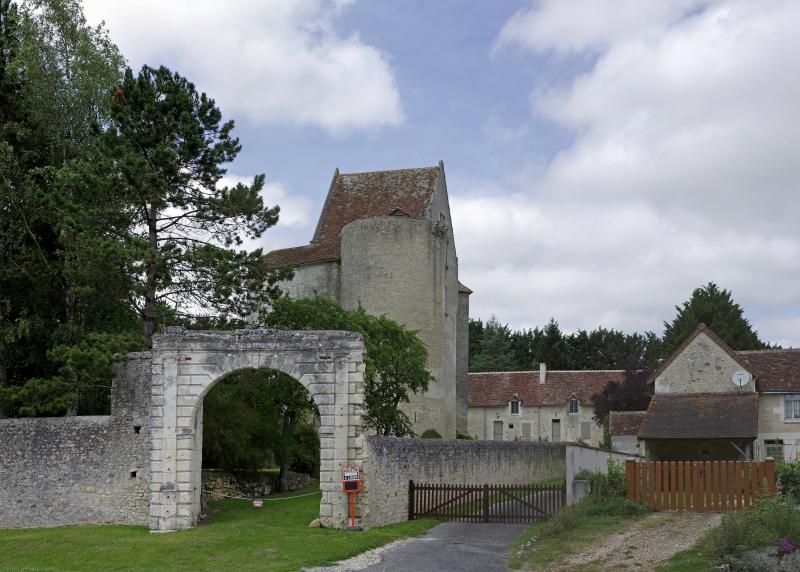 Ruines du château et vestiges de ses moyens de défense