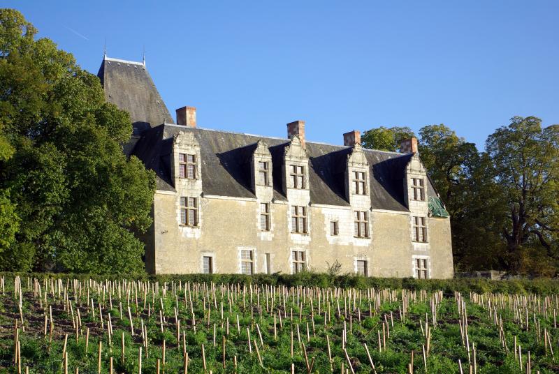 Château de la Cour-au-Berruyer, Cheillé