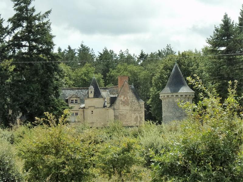 Manoir de la Fuye, Chinon