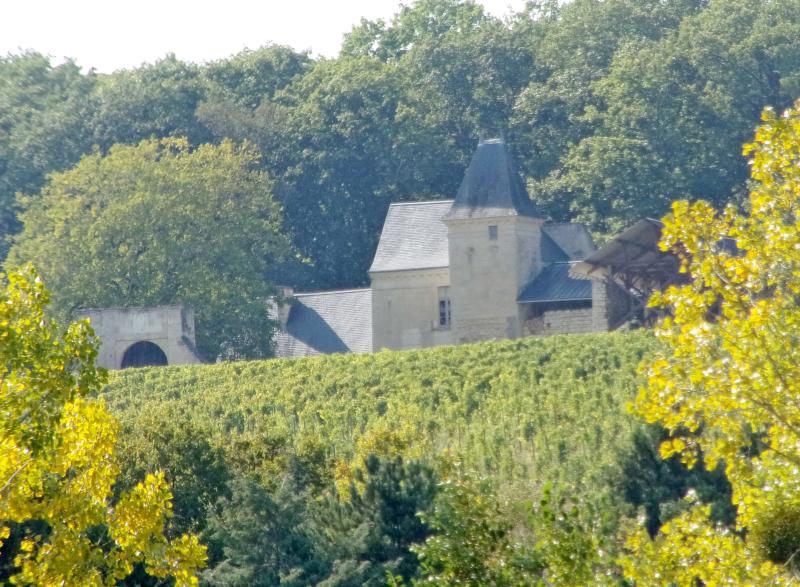 Château de Cravant, dit Le Vieux Château, Cravant-les-Côteaux
