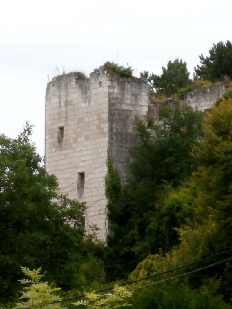 Tour de Mauvières, Loches