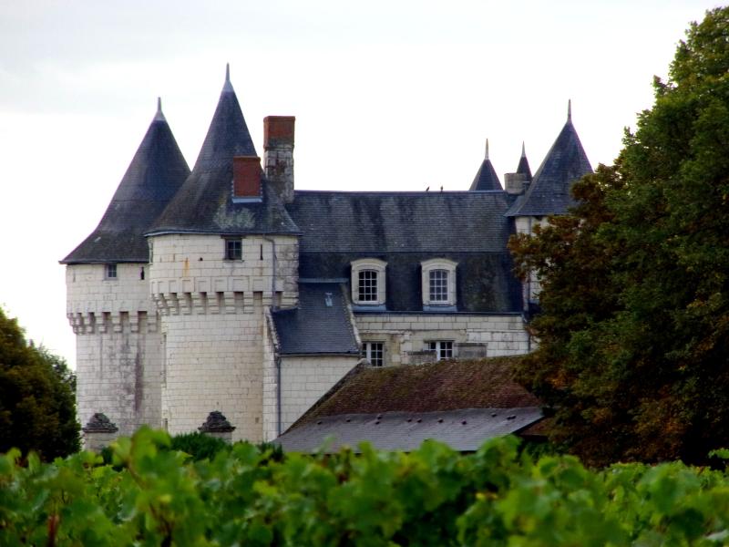 Château, Marçay