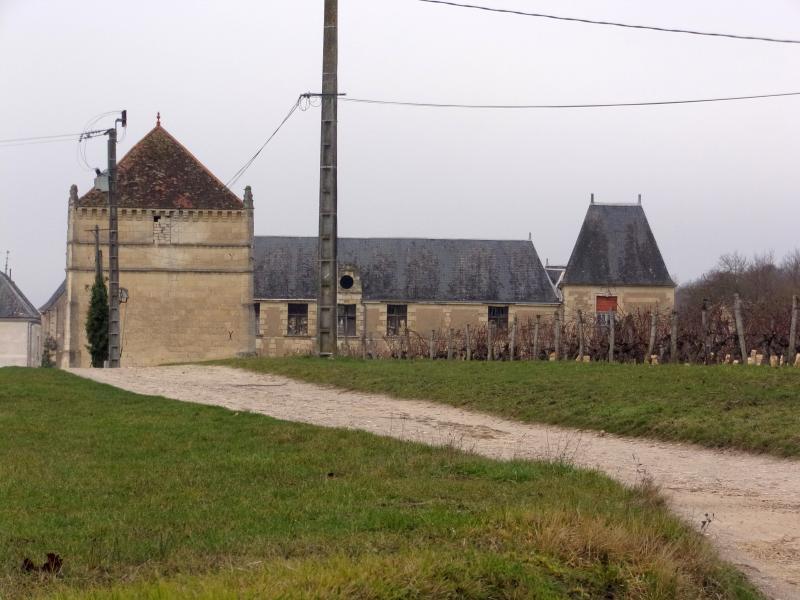 Château du Pressoir, Panzoult