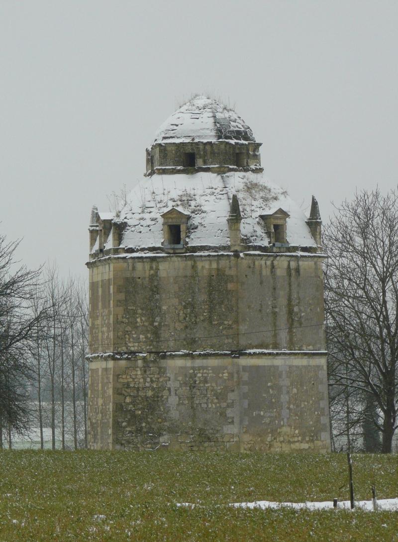 Ancien château de Roncée, Panzoult