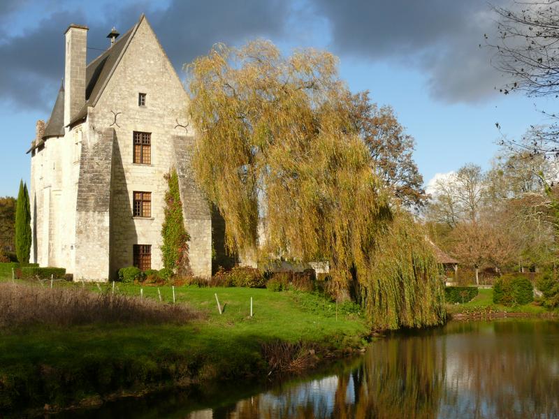 Vestiges de l'abbaye de Turpenay, Saint-Benoît-la-Forêt