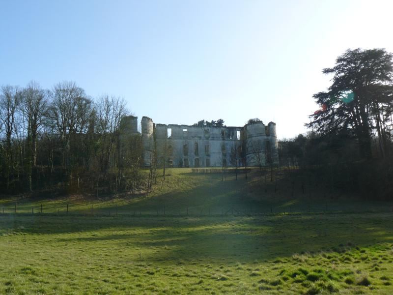 Ancien château de Montgauger (ou Mongoger), Saint-Épain