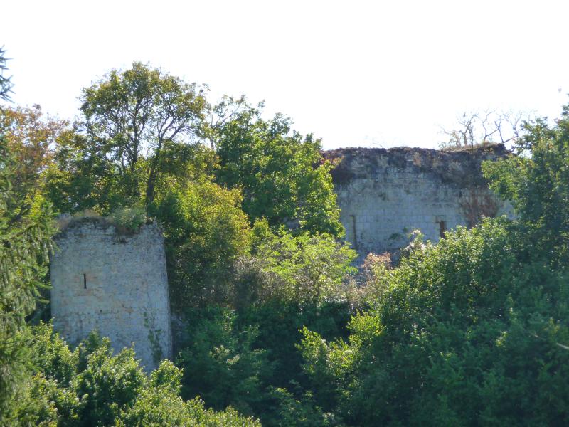 Vestiges du château
