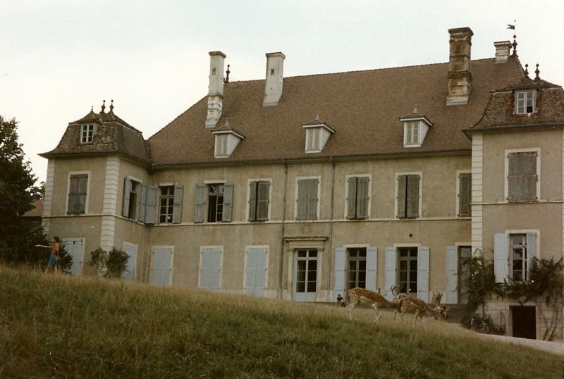 Château de Moidière, Bonnefamille