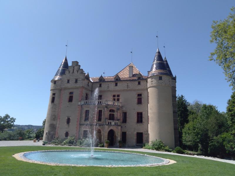 Château de Pupetières, Châbons