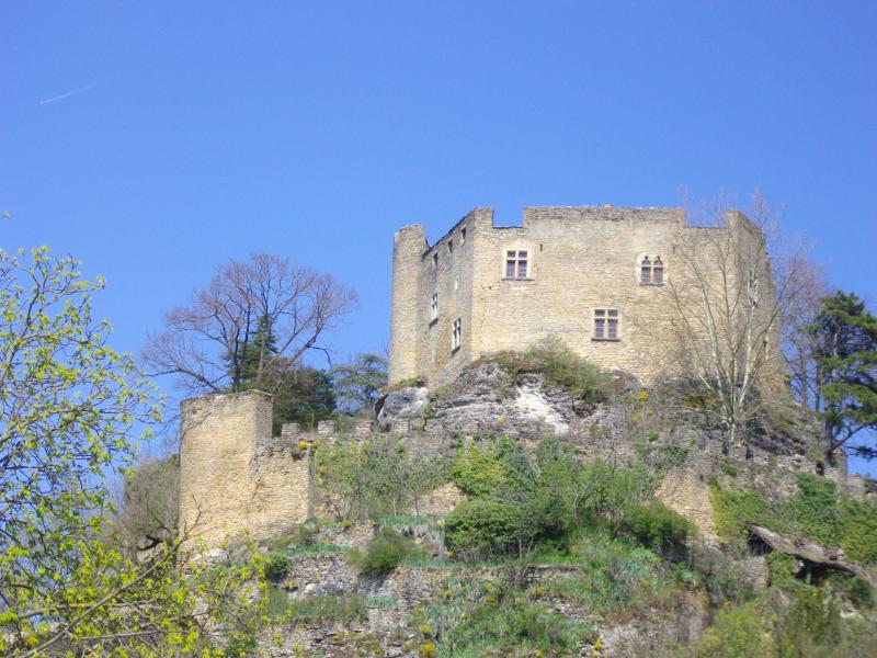 Château Delphinal (ancien), Crémieu