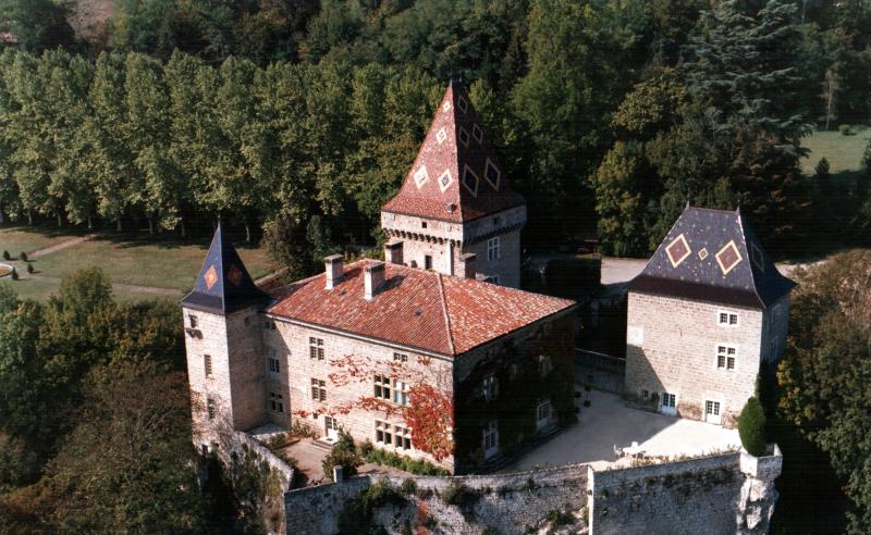 Château de la Sône, La Sône