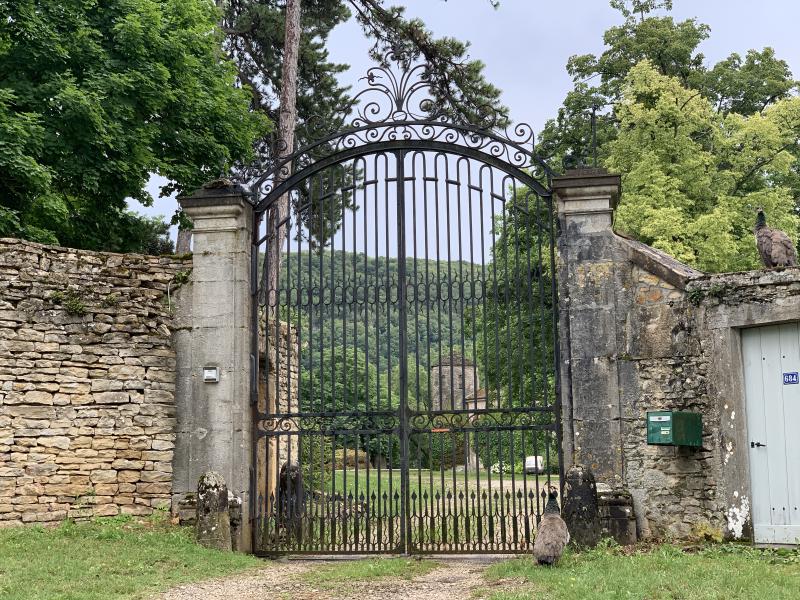 Château de Verna, Vernas