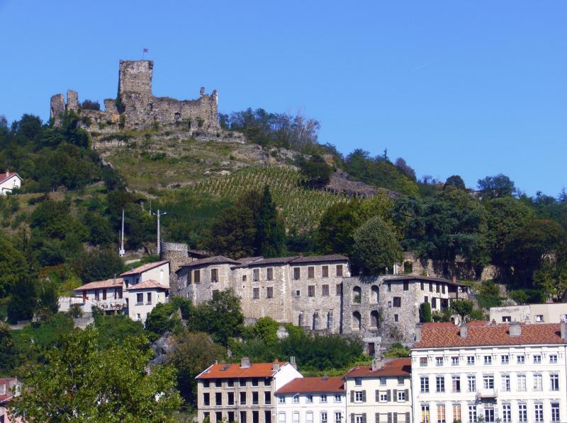 Château de la Bâtie (restes), Vienne
