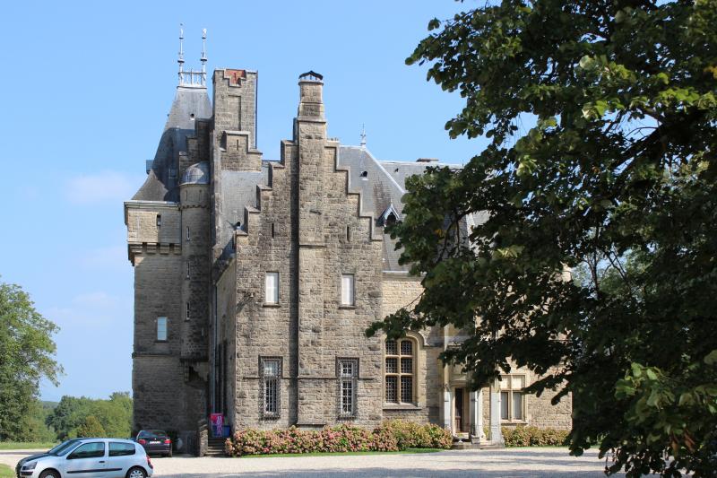 Château de Lancin, Courtenay