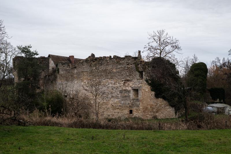 Château, Chevigny