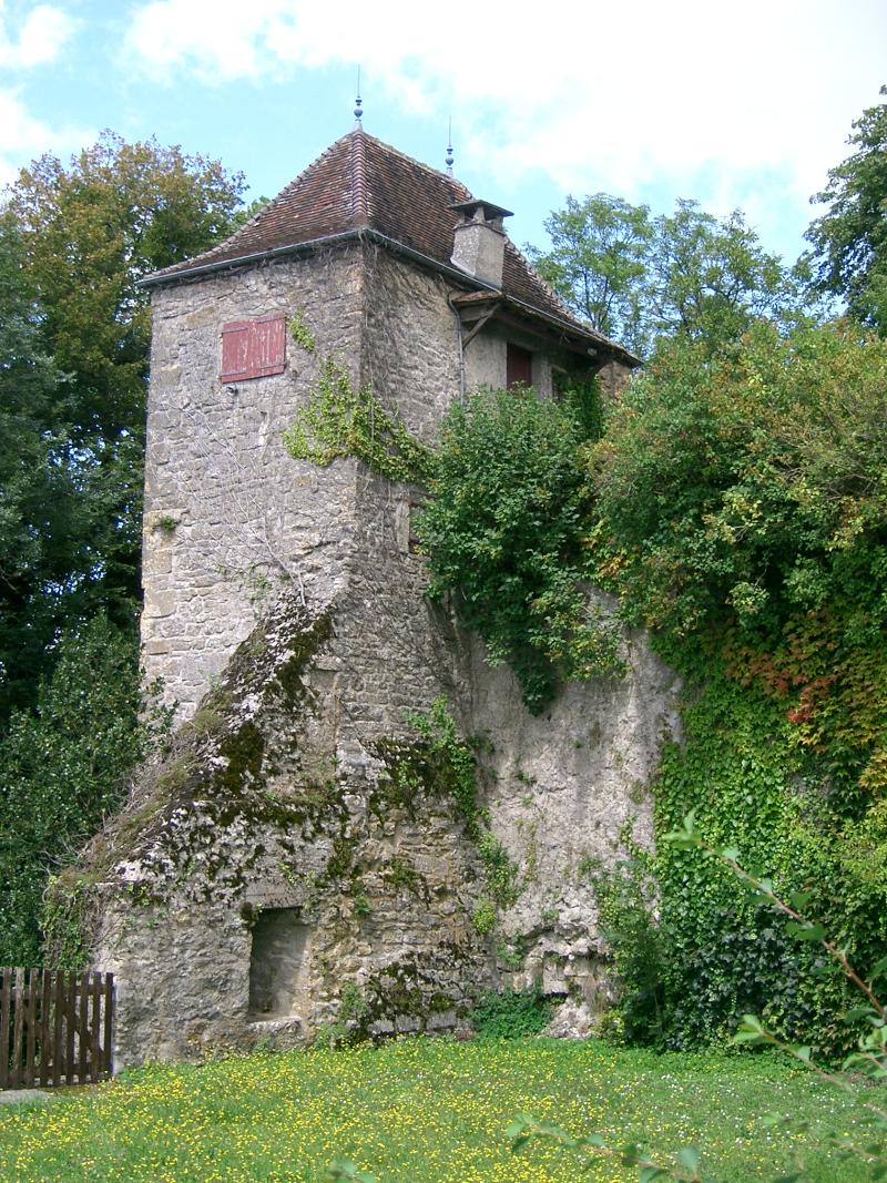 Château-fort (vestiges de l'ancien), Orgelet