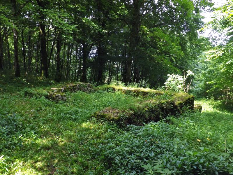 Petit temple antique ou fanum, Pupillin