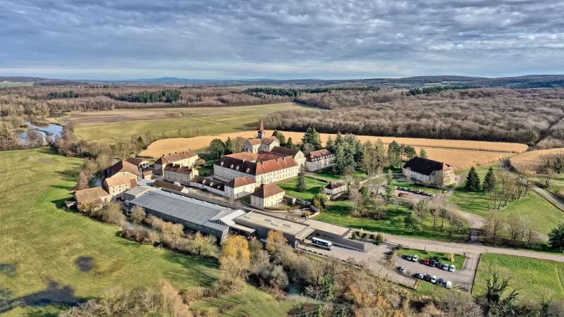 Abbaye cistercienne d'Acey (ancienne), Vitreux