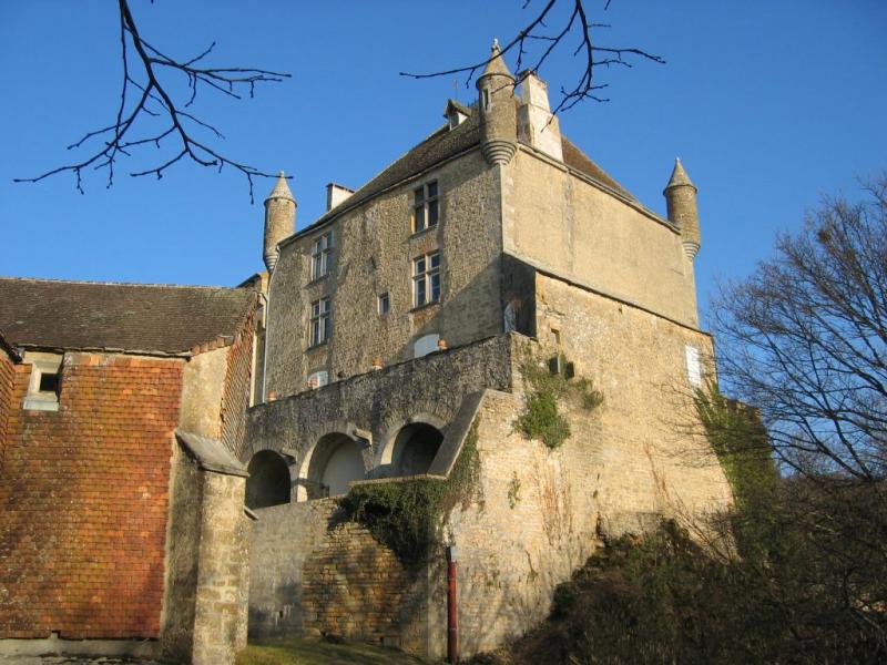 Château, Frontenay