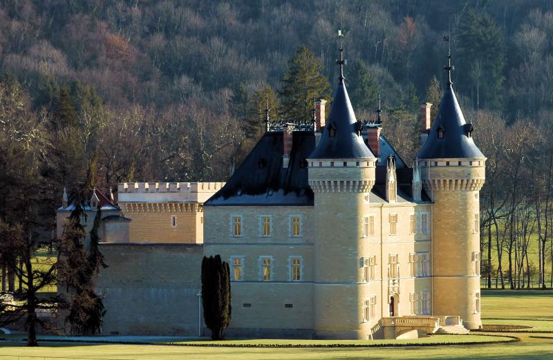Château, Cornod
