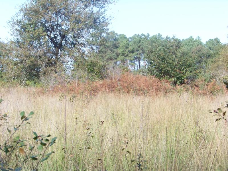 Parcelles contenant dix-sept tertres funéraires, Arboucave