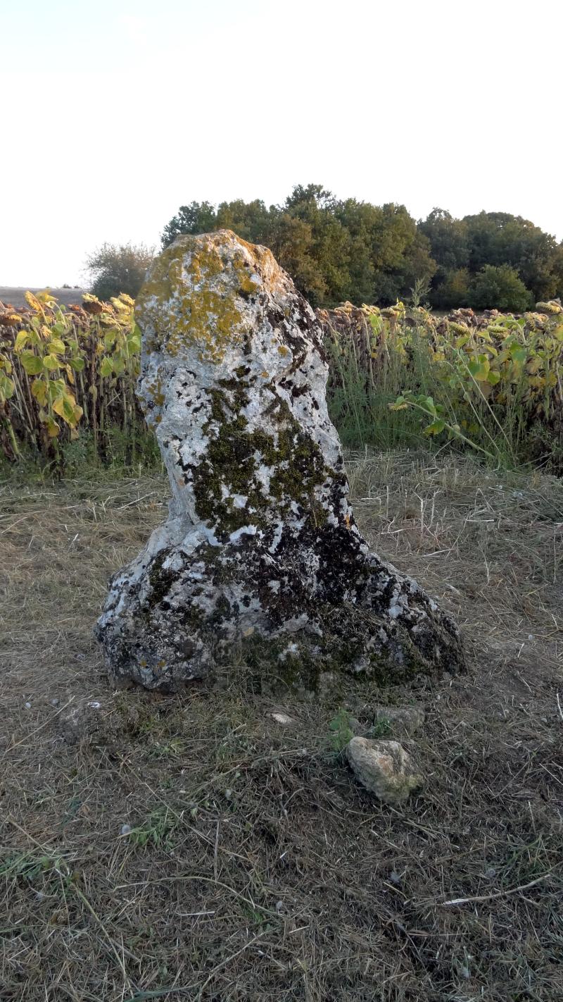 Dolmen, Averdon