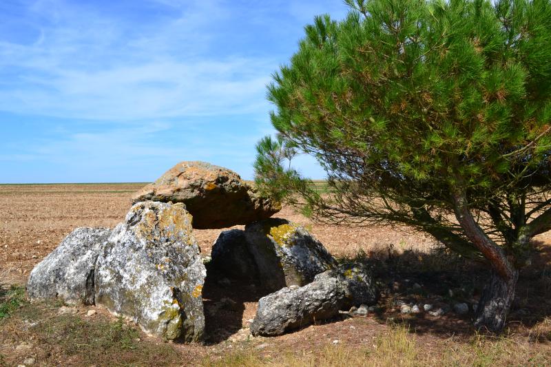 Dolmen de Cornevache, Selommes