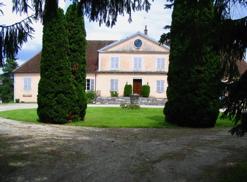 Château des Forges, Suèvres