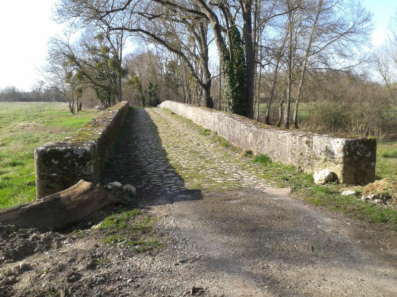 "Pont Saint-Michel et ponts sur le Cosson dits "chastrés" ou "chartrains"", Saint-Gervais-la-Forêt