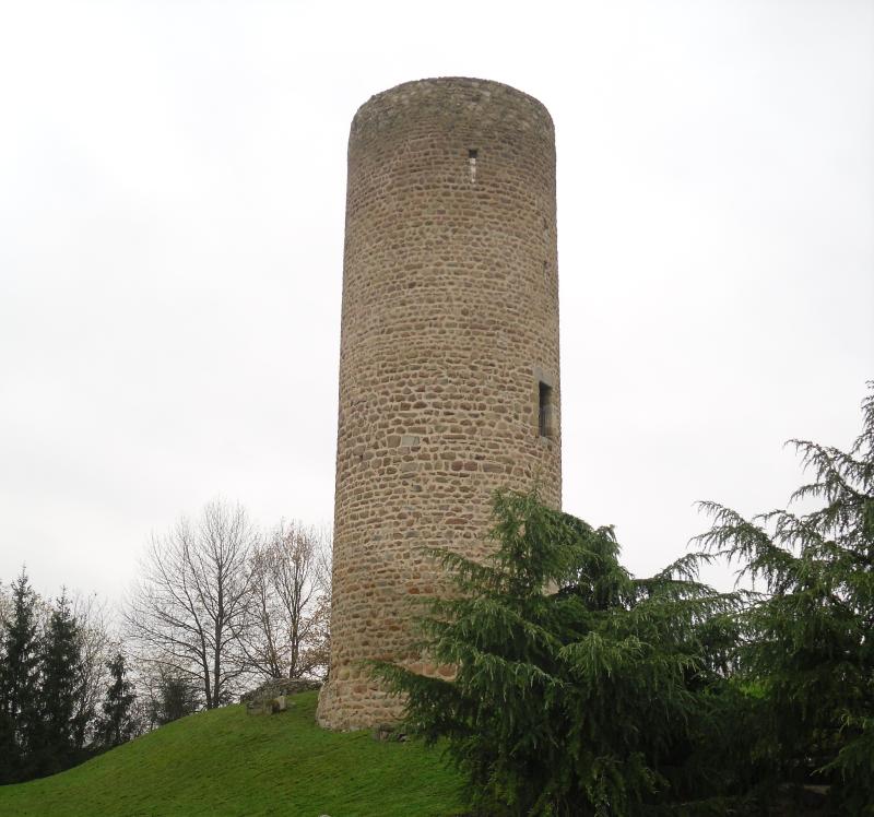 Château des Comtes de Forez (restes de l'ancien), Cleppé