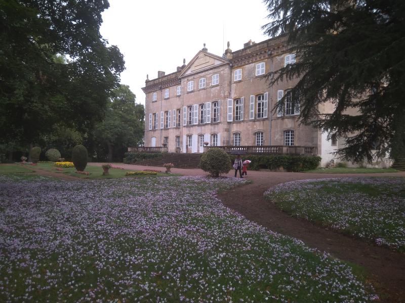 Château de Chateaumorand, Saint-Martin-d'Estréaux