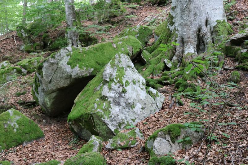 Dolmen de Vacheresse, Mazet-Saint-Voy