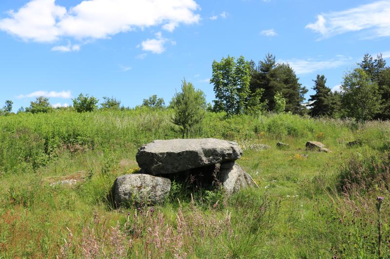 Dolmen des Pennes, Les Vastres