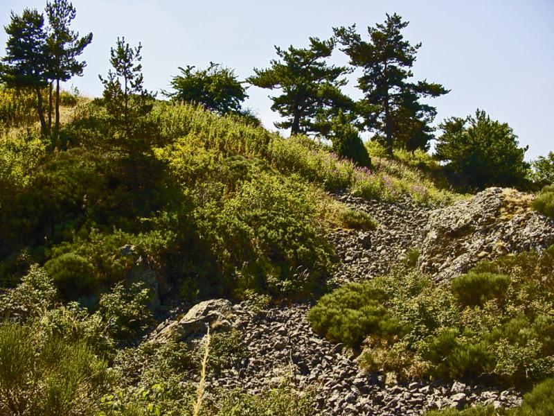 Camp d'Antoune, Salettes