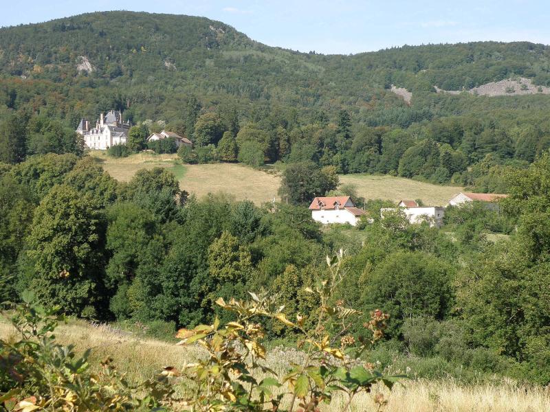 Château de Vaux, Saint-Julien-du-Pinet