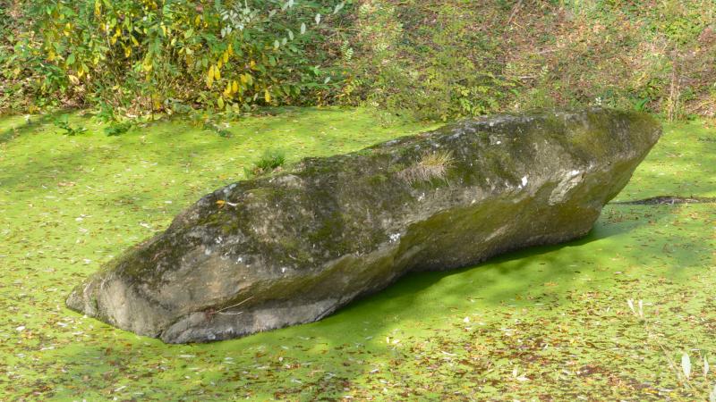 Dolmen dit de la Pierre Couvretière