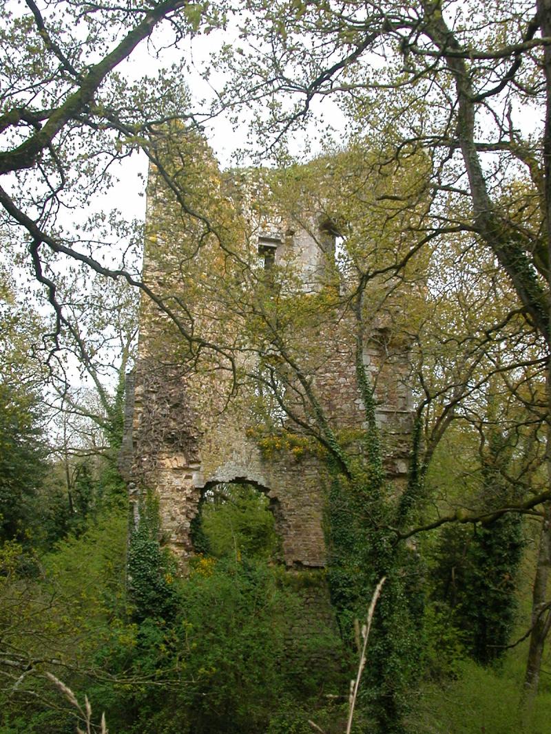 Château, Derval