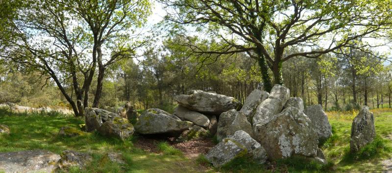 Dolmen à transept du Riholo, Herbignac