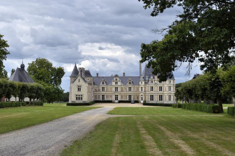 Château de Lucinière, Joué-sur-Erdre
