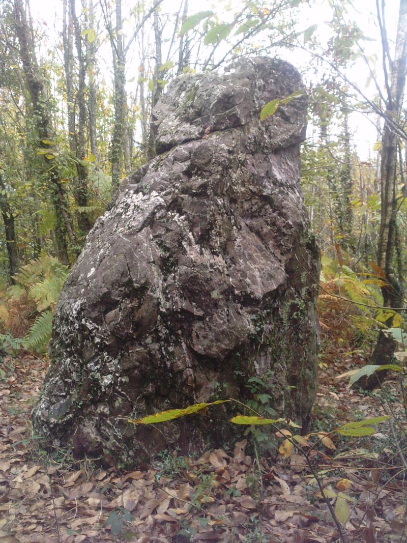 Menhir dit La pierre du Hochu, Lusanger