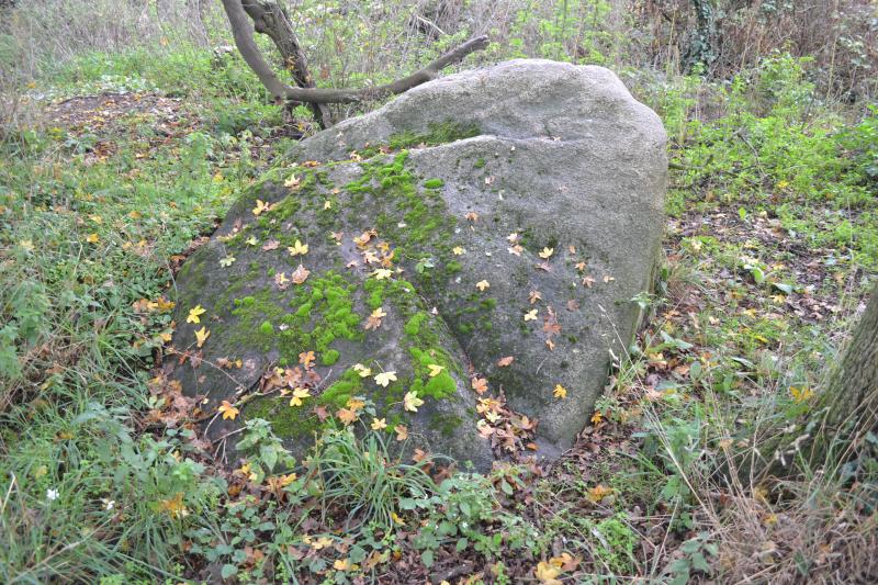 Menhir à cupules, Saint-André-des-Eaux