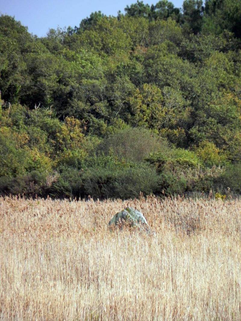 Menhir dit de Mézerac autrement dénommé Roche de Len, Saint-Lyphard